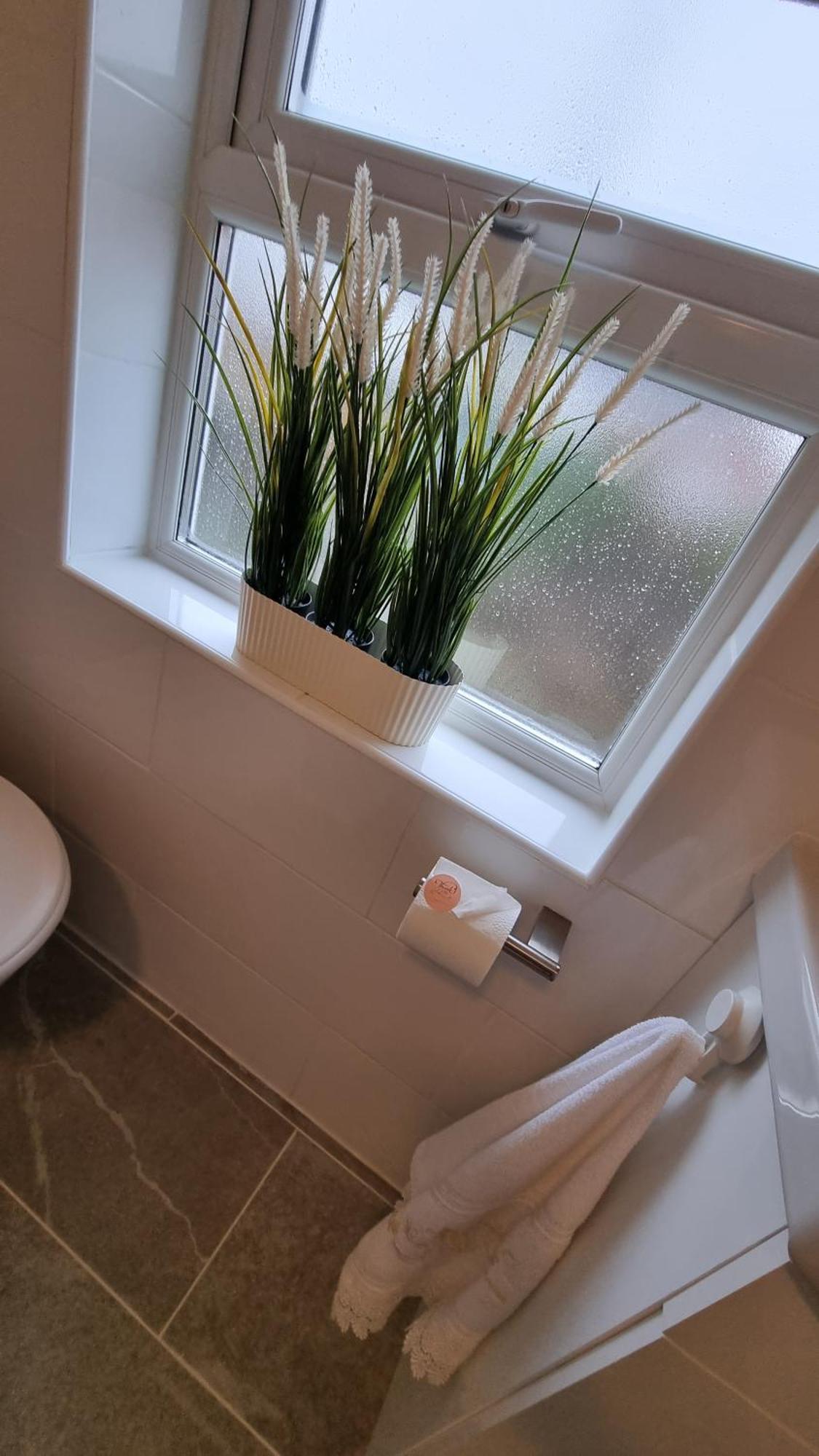 City Of Chester Award Winning Cottage -Pixie Terrace Chester Eksteriør billede